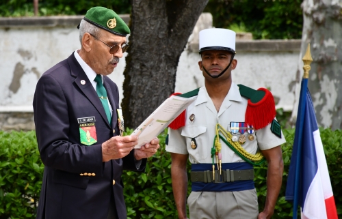 camerone,aale