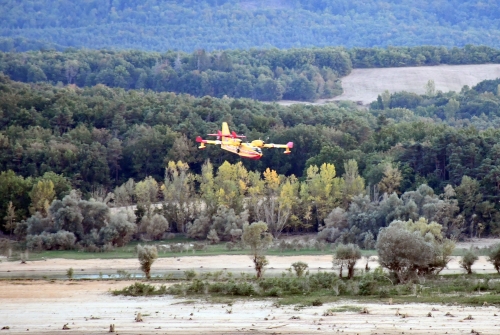 canadairs