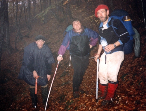 Sous-bois Montcalm 94.JPG