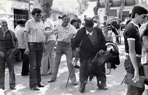 Foire animalière Photo Escaf.jpg
