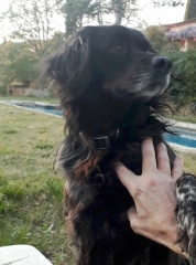 Happy Besset bis.jpg