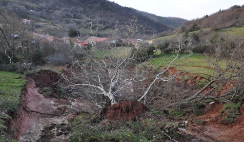 La Calmette 2020 004.JPG