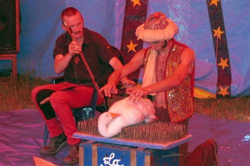 cirque werdyn chalabre