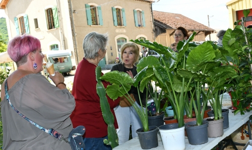 atout fruit,fête des plants