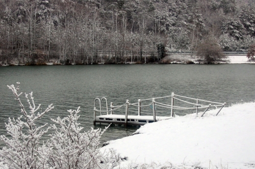 Neige sur le lac de Montbel 011.jpg