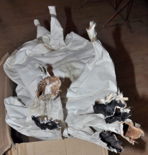 boudègue,sophie et nicolas serano