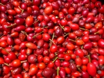 atout fruit