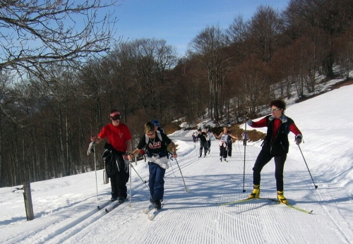 collège antoine-pons