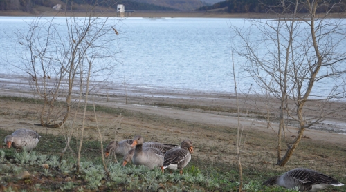 montbel,lac montbel