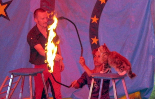 cirque werdyn chalabre