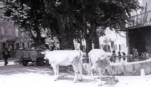 001 Bassin cours d'Aguesseau.JPG