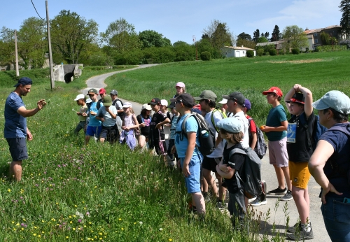 école louis-pergaud,alexandre granger