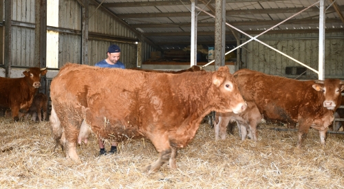 école louis-pergaud,alexandre granger