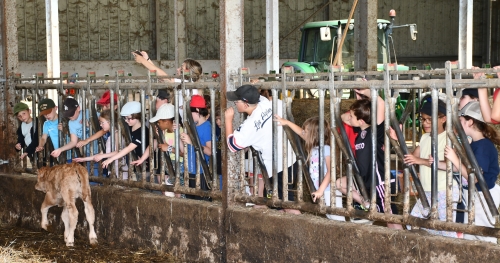 école louis-pergaud,alexandre granger