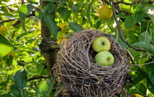 atout fruit
