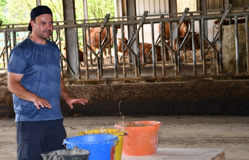 école louis-pergaud,alexandre granger