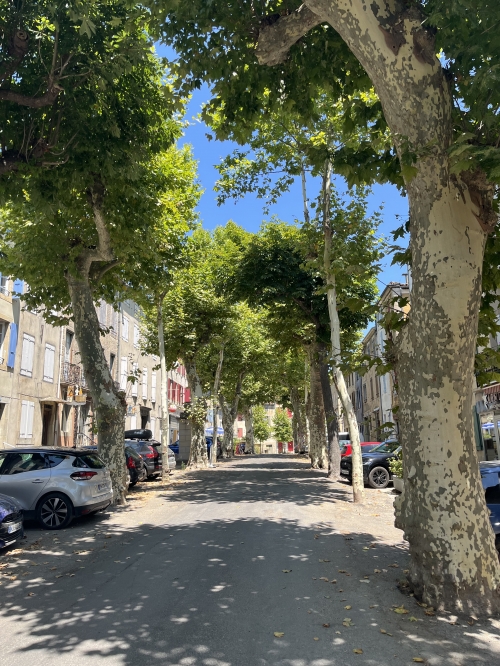 collectif sauvons les arbres,cours colbert