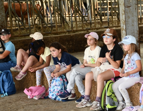 école louis-pergaud,alexandre granger