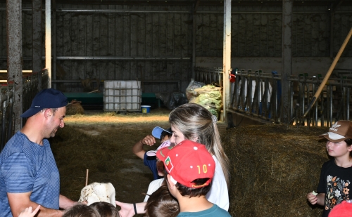 école louis-pergaud,alexandre granger