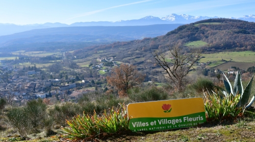 1ère fleur,prix du jardinier