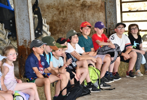 école louis-pergaud,alexandre granger