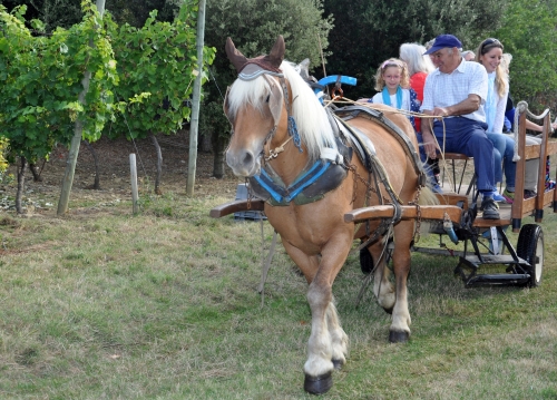 compagnons de roubichoux