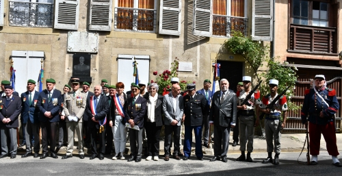 camerone,aale