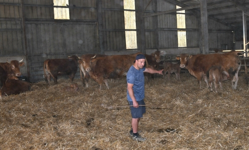 école louis-pergaud,alexandre granger