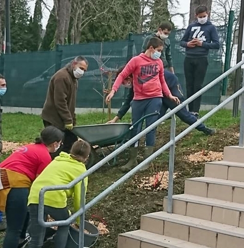 collège antoine-pons,atout fruit