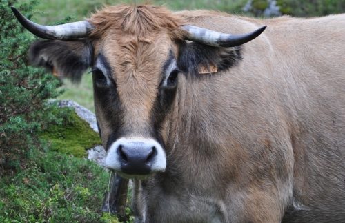 2016 12 septembre.JPG