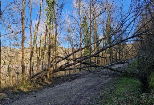 2026 Voie verte Février 002.jpg