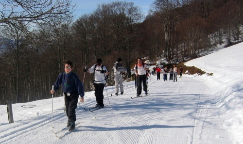 collège antoine-pons