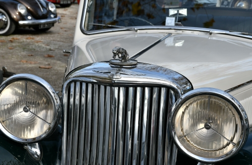 association audoise des amateurs d'automobiles anciennes