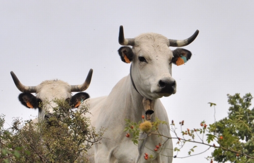 2013 17 Septembre.jpg