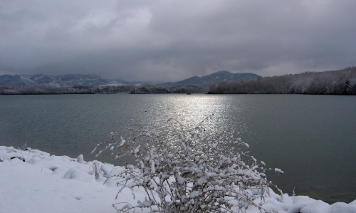 Neige sur le lac de Montbel 007.jpg