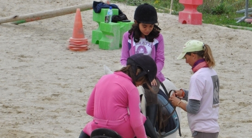 centre équestre de lambarado