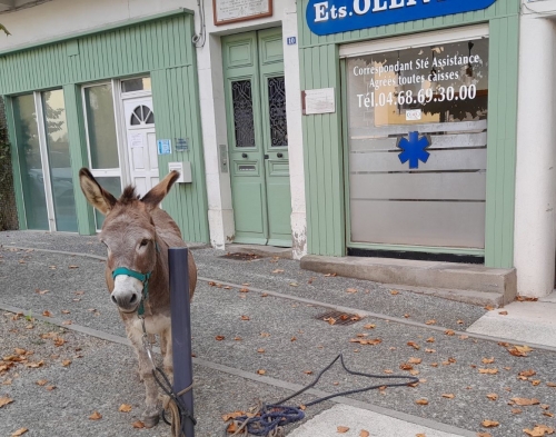 2024 Ane Octobre.jpg