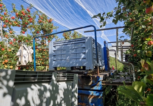 vergers de la galante,sonnac-sur-l'hers
