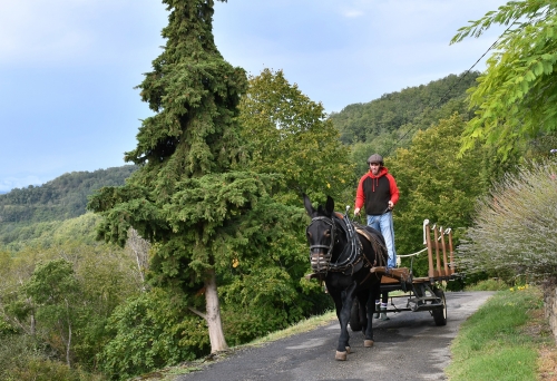 hameau de roubichoux