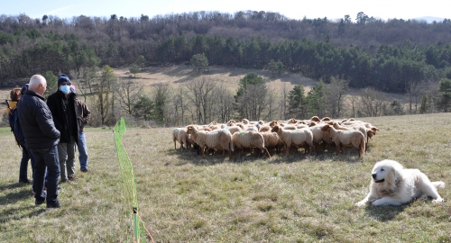 ferme d'en bor puivert