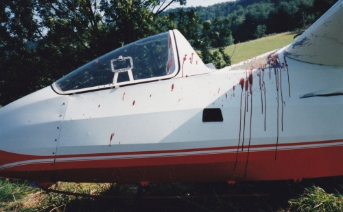 planeurs de puivert