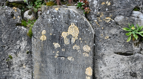 2026 Soeurs St Joseph de Cluny 13 février 002.JPG