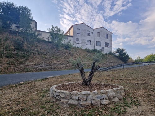 olivier mairie chalabre