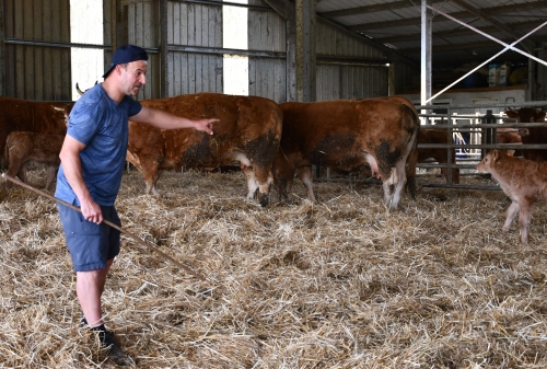 école louis-pergaud,alexandre granger