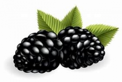 atout fruit