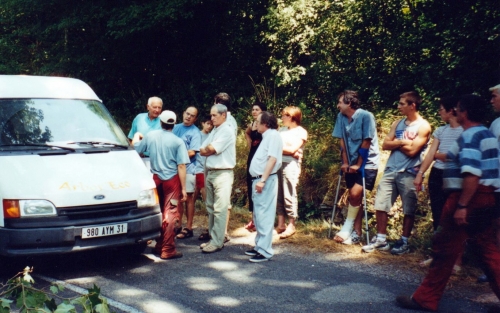 2004 Platanes menacés juillet 002.jpg