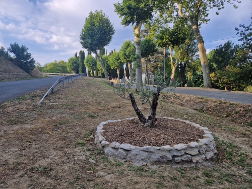 olivier mairie chalabre