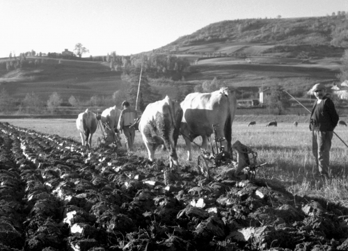 Il était une fois chalabre