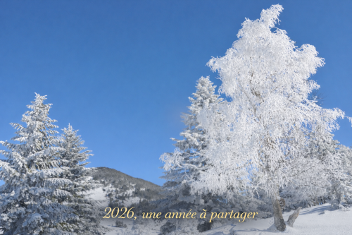 Paysage hivernal sous ciel bleu (1).png