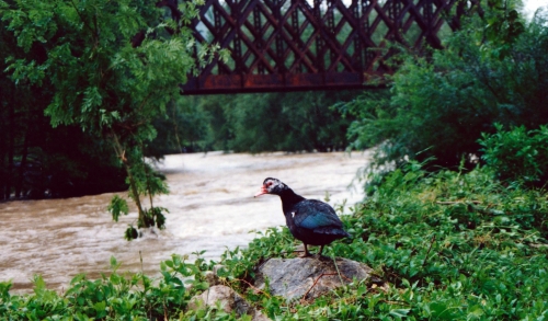 Classe 1950 Juin 2000 010.jpg